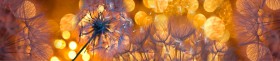 Кухонный фартук Мерцание Одуванчики золотистые 3 серебро в Рязани - ryazan.katalogmebeli.com | фото