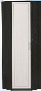 Шкаф для одежды угловой ДЛЯ ГОСТИНОЙ ШОУ-695 Венге/Дуб выбеленный в Рязани - ryazan.katalogmebeli.com | фото