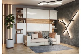 Шкаф-кровать с диваном Дина в Рязани - ryazan.katalogmebeli.com | фото 1